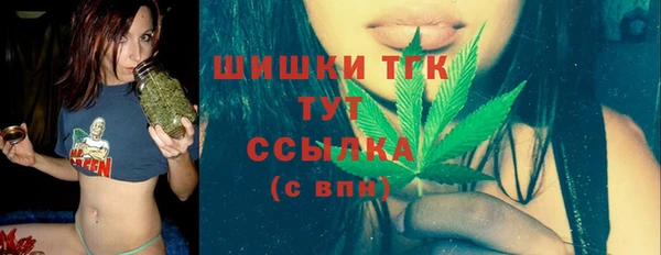 ГАЛЛЮЦИНОГЕННЫЕ ГРИБЫ Бородино