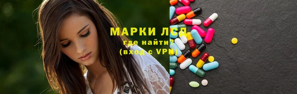 ГАЛЛЮЦИНОГЕННЫЕ ГРИБЫ Бородино