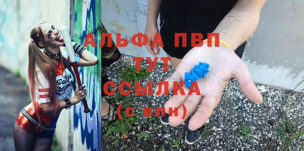 ГАЛЛЮЦИНОГЕННЫЕ ГРИБЫ Бородино