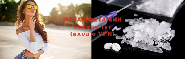 ГАЛЛЮЦИНОГЕННЫЕ ГРИБЫ Бородино