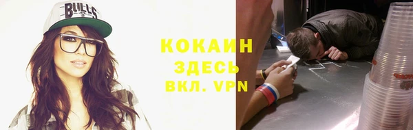 ГАЛЛЮЦИНОГЕННЫЕ ГРИБЫ Бородино