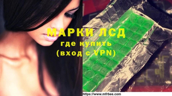 ГАЛЛЮЦИНОГЕННЫЕ ГРИБЫ Бородино